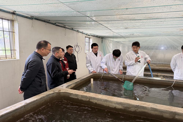 校领导带队开展产学研合作调研